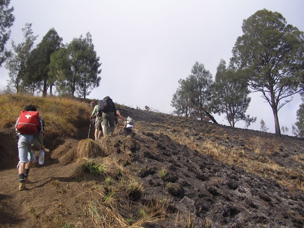 Trek trails to Senaru crater Rimfrom Senaru village