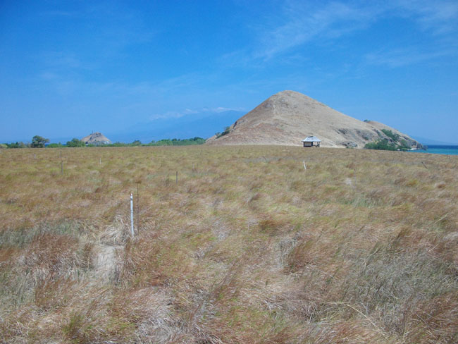 savanna view at kenawa island