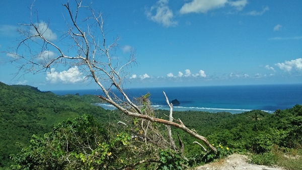 view of Mekaki beach from the hill
