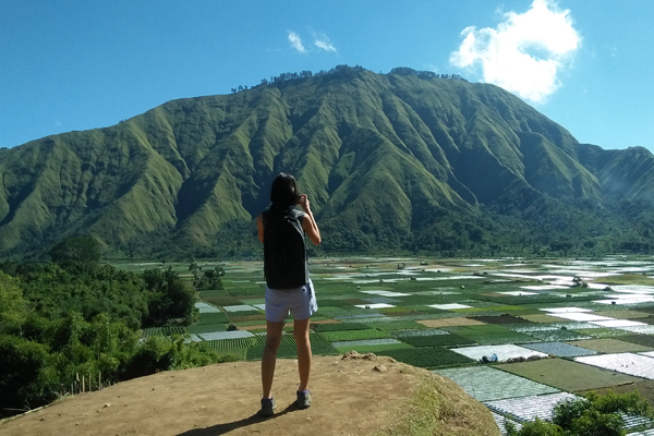 Sembalun rice field view